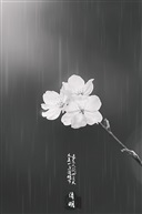 二十四节气——清明