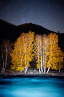 喀纳斯河夜