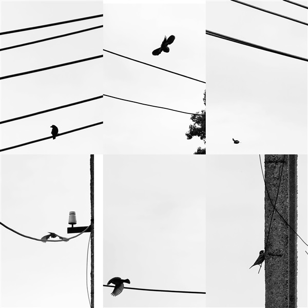 随拍